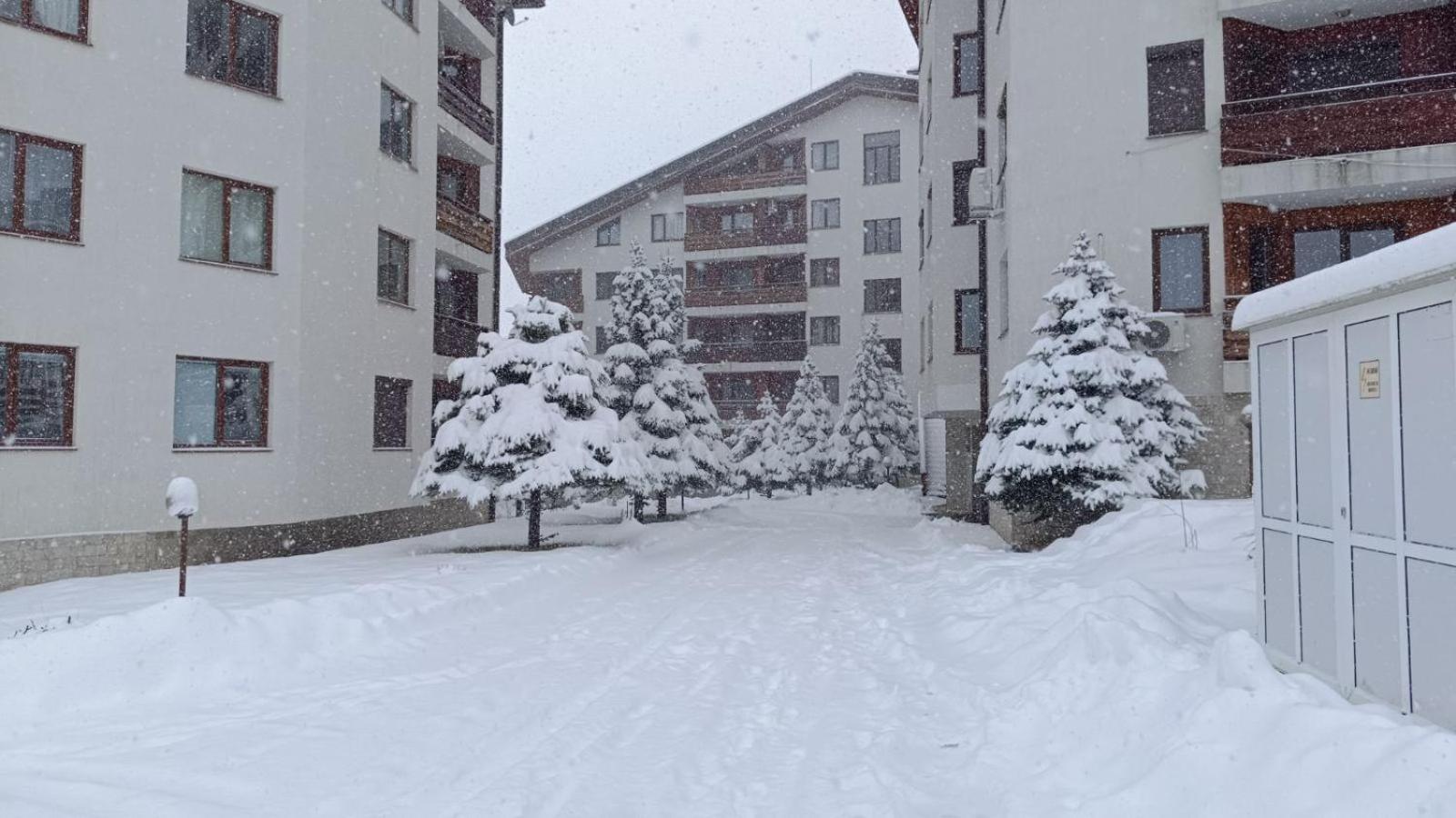 Studio Detelina Residence Bansko Eksteriør bilde