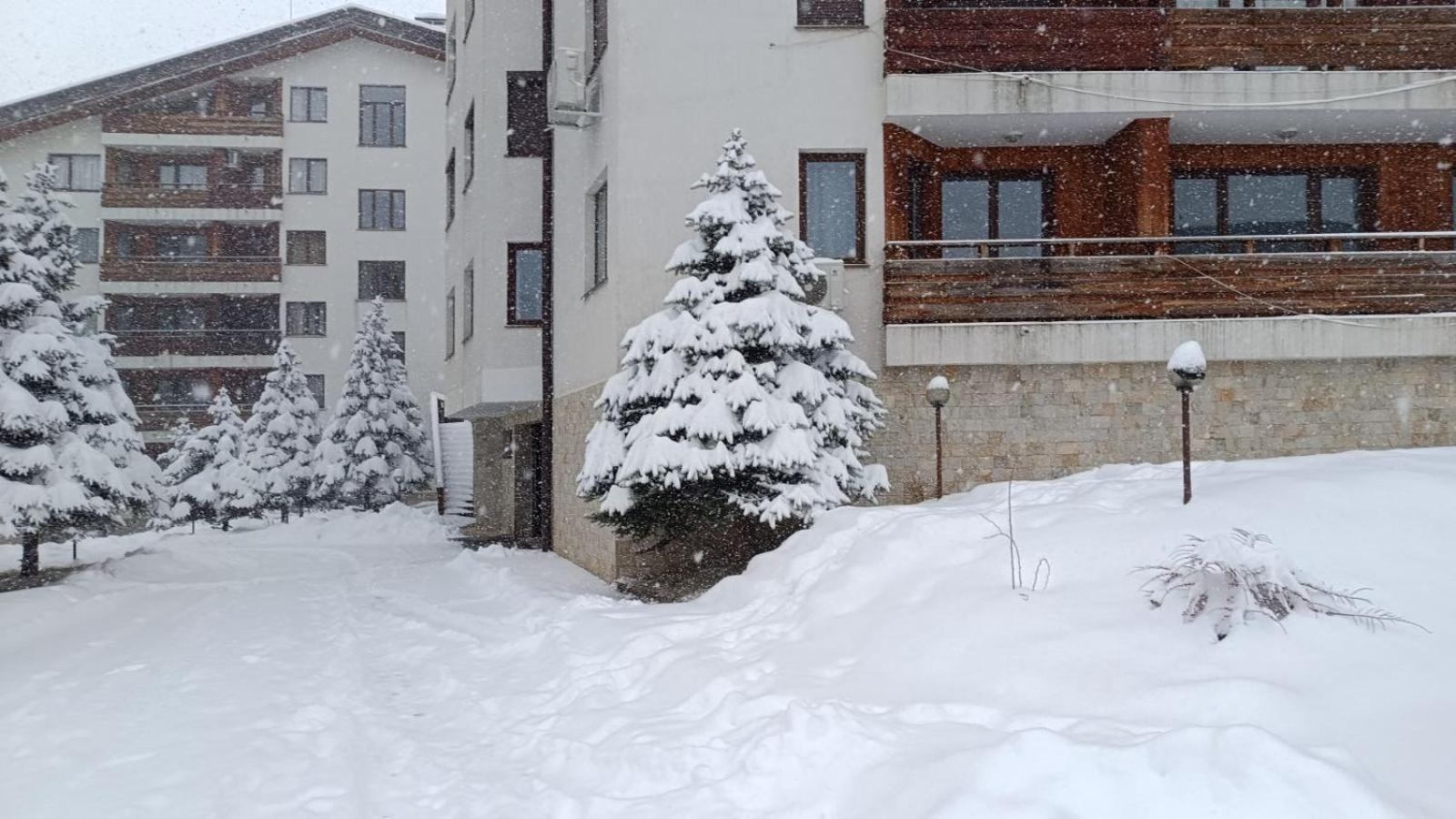 Studio Detelina Residence Bansko Eksteriør bilde