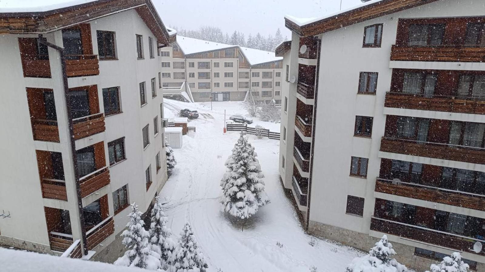 Studio Detelina Residence Bansko Eksteriør bilde